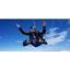Picture of Tandem Skydive Nottingham