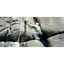 Picture of Sussex Rock Climbing Experience