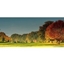 Picture of A Golfing Day to Remember - Oxfordshire