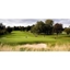Picture of 18 Hole Golf Lesson with PGA Professional in Hertfordshire for 3
