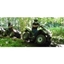 Picture of Quad Biking Experience Day for Two Hazlewood, Yorkshire