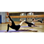 Picture of Private One Hour Ballet Class - London