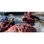 Picture of White Water Rafting Group Experience in Nottingham