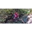 Picture of Canyoning Experience - Wales