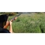 Picture of Northumberland Clay Pigeon Shooting - 30 Clays