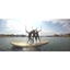 Picture of Introduction to Stand Up Paddle Boarding Brighton