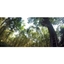 Picture of Zip Wire Experience - East Sussex