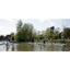 Picture of Paddleboarding Taster Session - Warwickshire