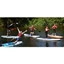 Picture of Stand Up Paddleboarding Introduction - Bristol