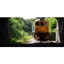 Picture of Diesel Train Driving Experience - Derbyshire