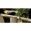 Picture of 30 Minute Owl Handling Experience in Yorkshire