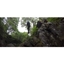 Picture of Half Day Canyoning Experience in Stirlingshire