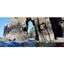 Picture of Sea Kayaking in Pembrokeshire - Full Day Adventure