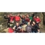 Picture of Multi Adventure Day in Sussex