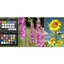 Picture of One-To-One Digital SLR Photography Course - Half Day