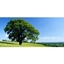 Picture of Full Day One-To-One Digital SLR Photography Course