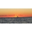 Picture of Sunset Yacht Sailing in Brighton