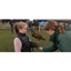 Picture of British Birds of Prey Experience in Bedfordshire