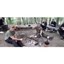 Picture of 2 Day Bushcraft and Survival Course in Surrey