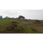 Picture of Quad Bike Experience in Durham