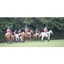 Picture of Full Day Introduction to Polo, Somerset