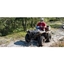 Picture of Quad Bike Tour - West Sussex
