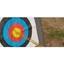 Picture of Field Archery and Target Experience in Bath