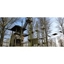 Picture of Treetop Adventure in Milton Keynes