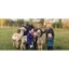 Picture of Parent and Child Alpaca Experience for 2 in Warwickshire