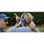 Picture of Bath 30 Clay Shooting Experience for Six