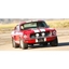 Picture of Drive A Ford Mustang