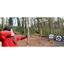Picture of Medieval Sport Trio in Hampshire