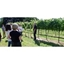 Picture of Full Day English Wine And Cheese Tour