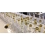Picture of Harrogate Platinum Perfume Making With Afternoon Tea