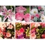 Picture of Pink Flower Collection