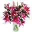 Picture of Sensation Lilies