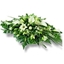 Picture of Simple White Spray