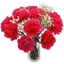 Picture of Hot Pink Carnations