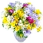 Picture of Freesia Fragrance