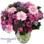 Picture of Maggie's Pink