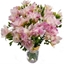 Picture of Pink Freesia