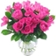 Picture of 20 Pink Roses Bouquet