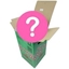 Picture of Mystery Bouquet