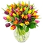 Picture of Mixed Tulips