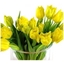 Picture of 20 Yellow Tulips