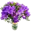Picture of Purple Freesia