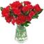 Picture of Red Carnations