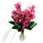 Picture of Pink Cymbidium Collection
