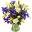Picture of Spring Has Sprung Bouquet
