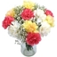 Picture of Mixed Carnations